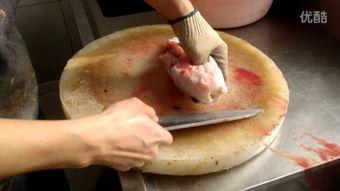 杀河豚鱼视频,揭秘河豚鱼捕捞与食用过程