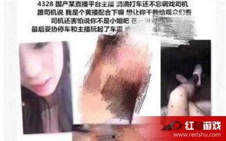 东北二嫂视频在哪看,热门平台一览