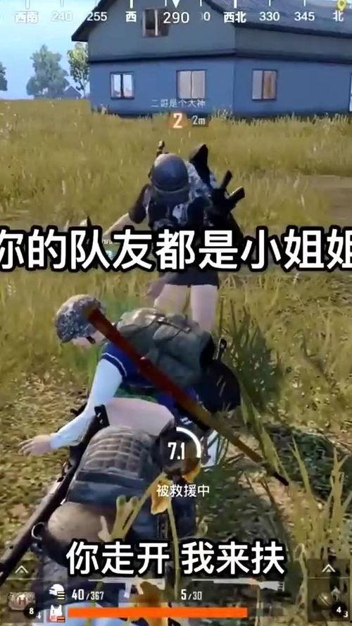 搞笑视频吃鸡,带你领略欢乐无限