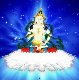 百字明唱诵视频,净化心灵，感悟佛法的宁静之旅