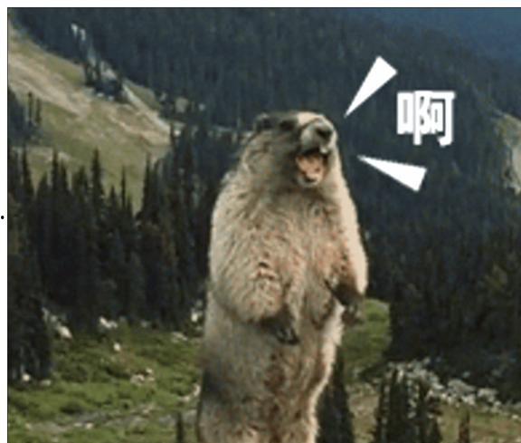 土拨鼠大叫视频,揭秘其神秘叫声背后的故事