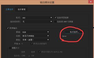 ae视频编码器,高效视频制作的秘密武器